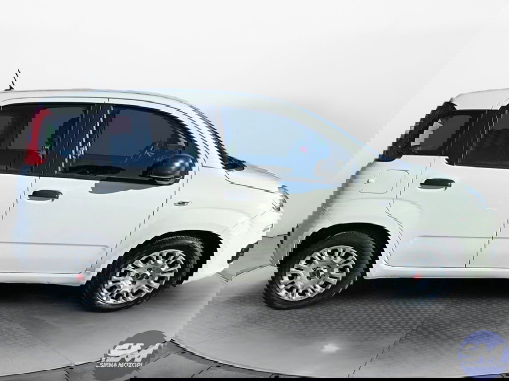 Fiat Panda Cross usata a Siena (6)