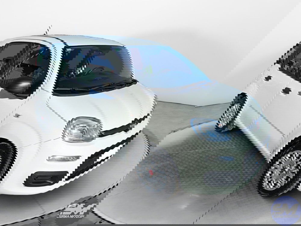 Fiat Panda Cross usata a Siena (7)