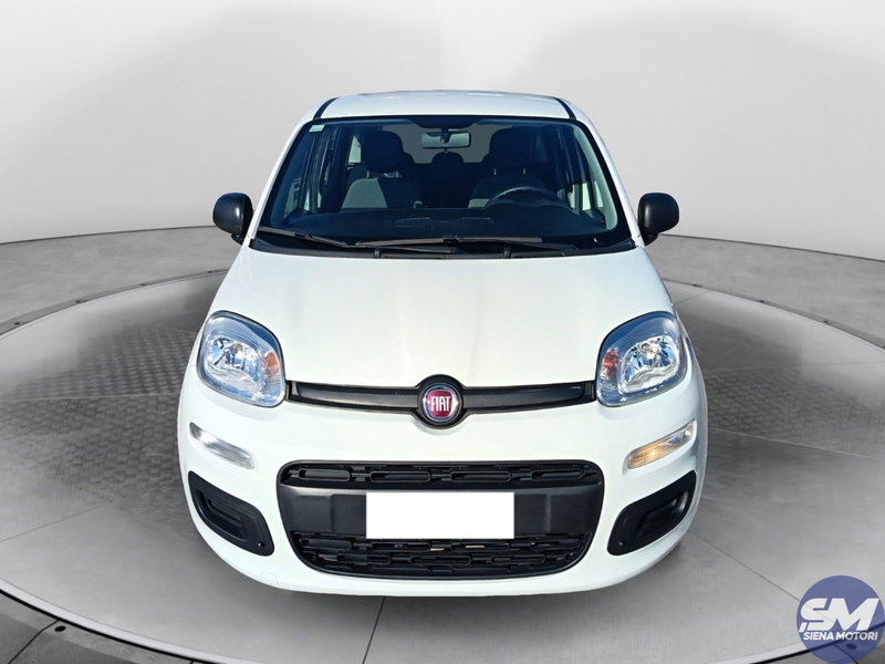 Fiat Panda Cross usata a Siena (8)