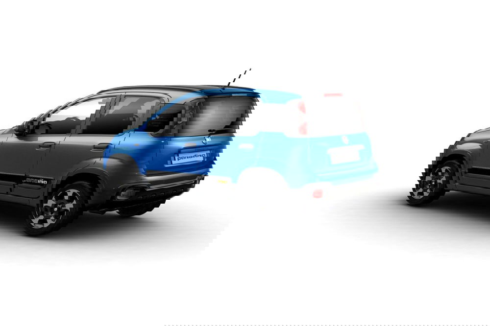 Fiat Pandina usata a Palermo (2)