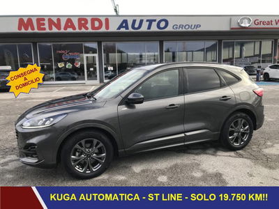 Ford Kuga 1.5 EcoBlue 120 CV 2WD ST-Line del 2024 usata a Bernezzo