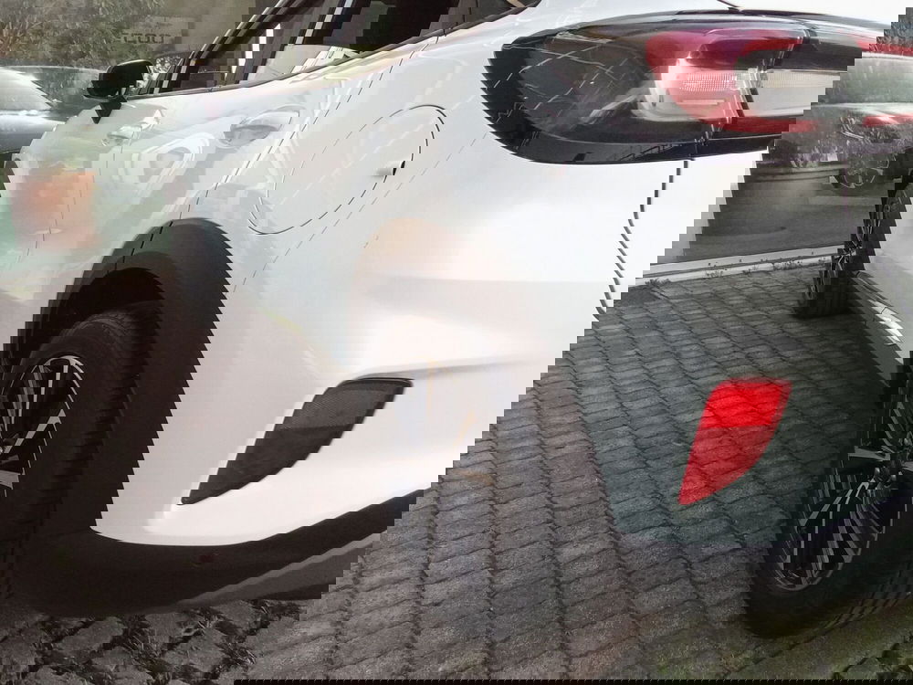 Ford Puma usata a Rimini (10)