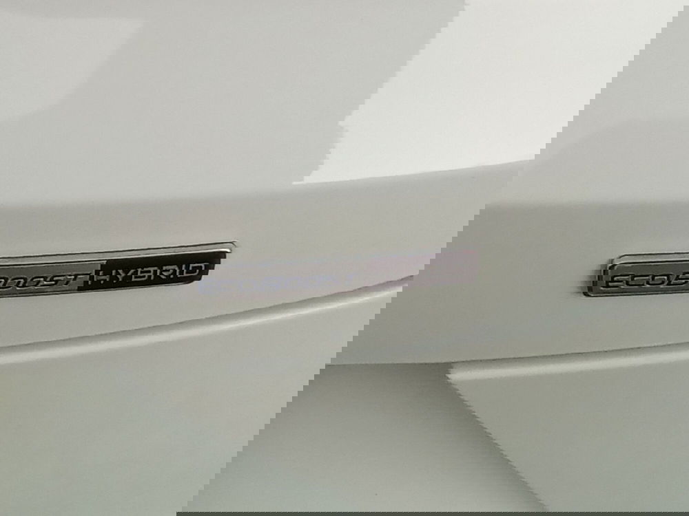 Ford Puma usata a Rimini (20)