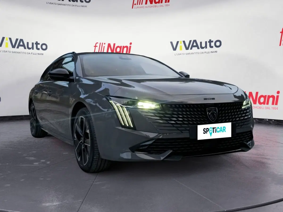 Peugeot 508 SW usata a Massa-Carrara (18)