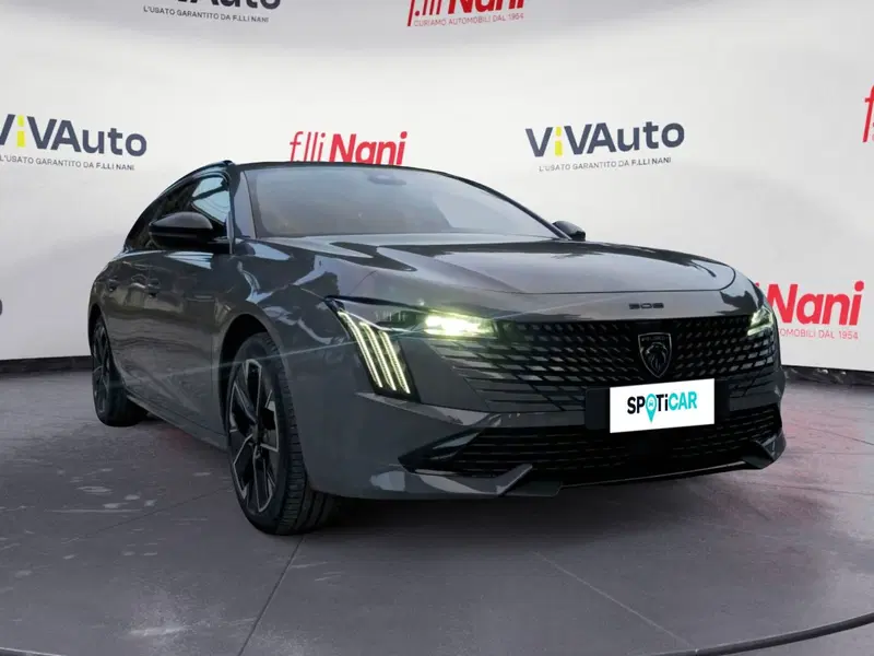 Peugeot 508 SW usata a Massa-Carrara (18)