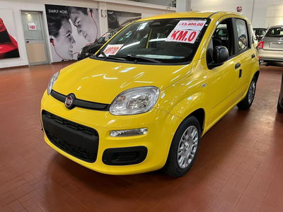 Fiat Panda 1.0 firefly hybrid Icon s&amp;s 70cv nuova a Altopascio