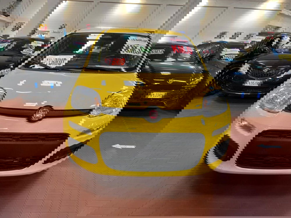 Fiat Panda nuova a Lucca (2)