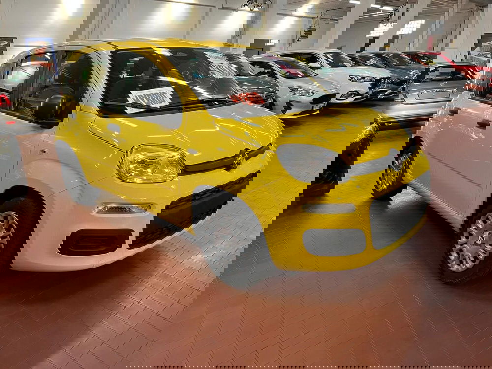 Fiat Panda nuova a Lucca (3)