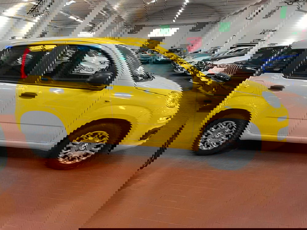 Fiat Panda nuova a Lucca (4)