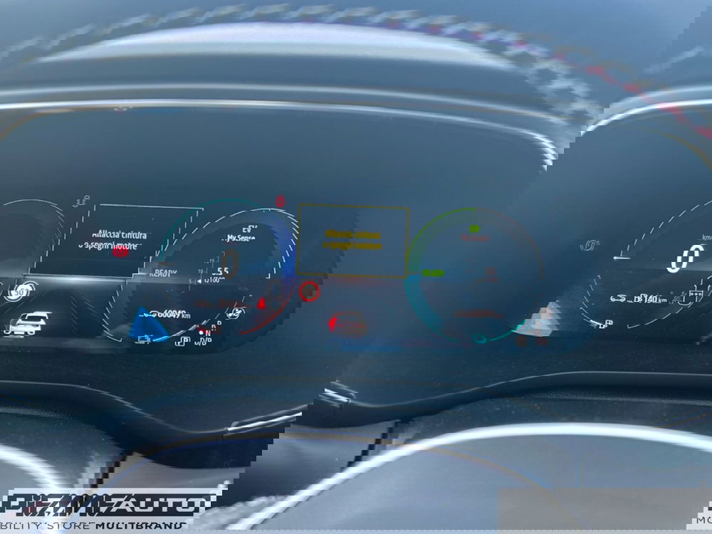 Renault Arkana usata a Piacenza (13)