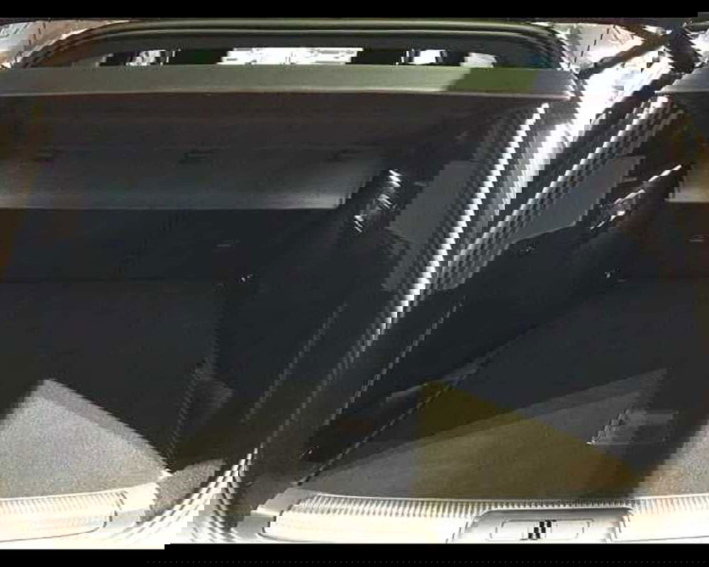 Ds DS 7 usata a Cuneo (7)