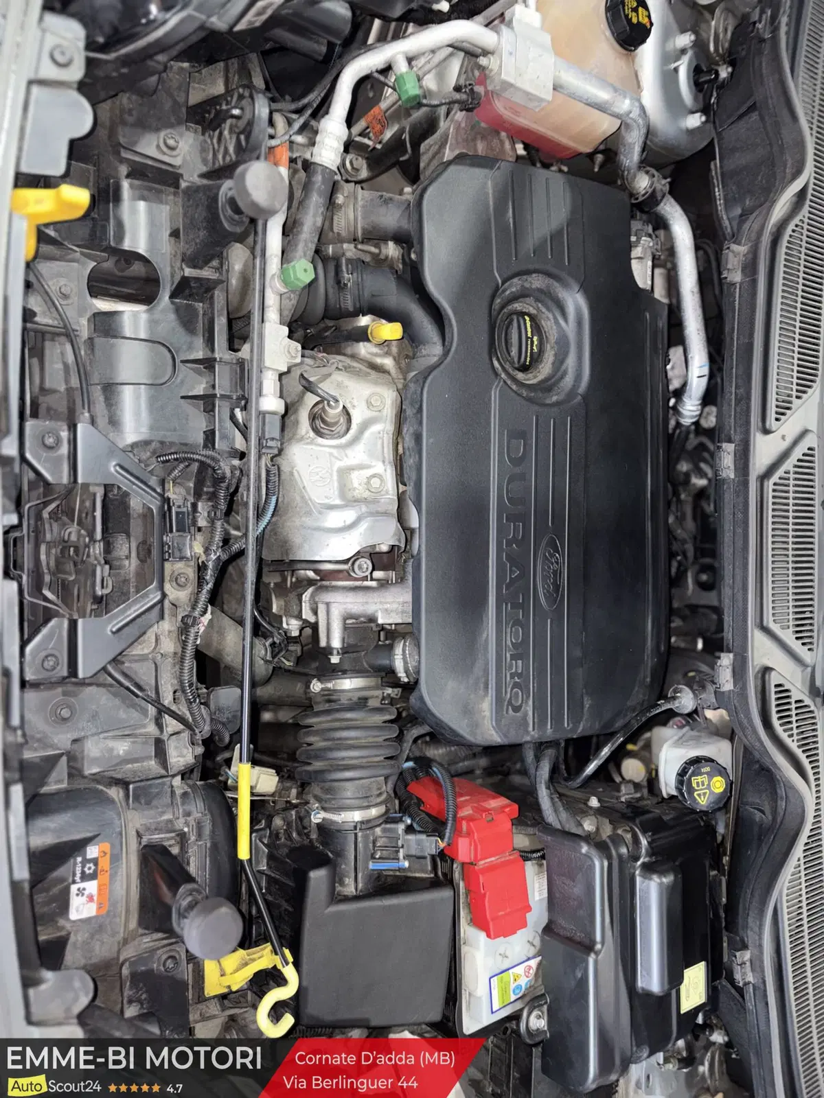 Ford EcoSport usata a Monza e Brianza (12)