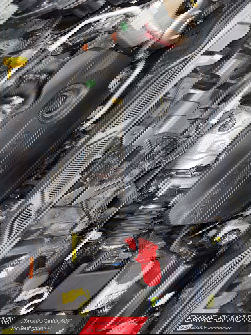 Ford EcoSport usata a Monza e Brianza (12)