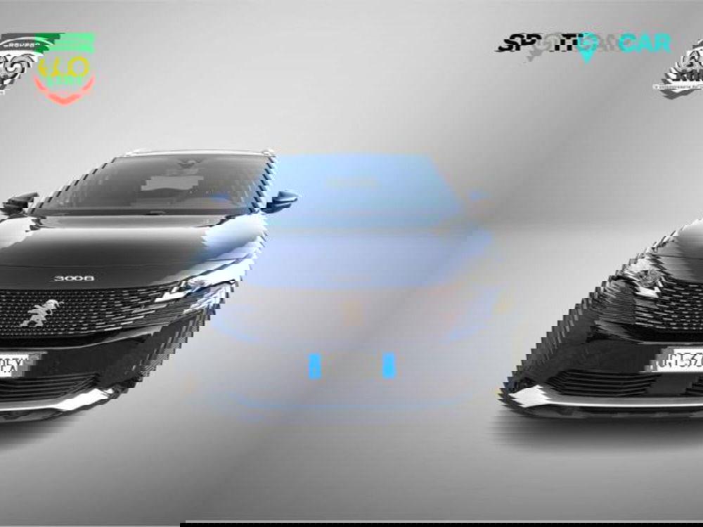 Peugeot 3008 usata a Frosinone (2)