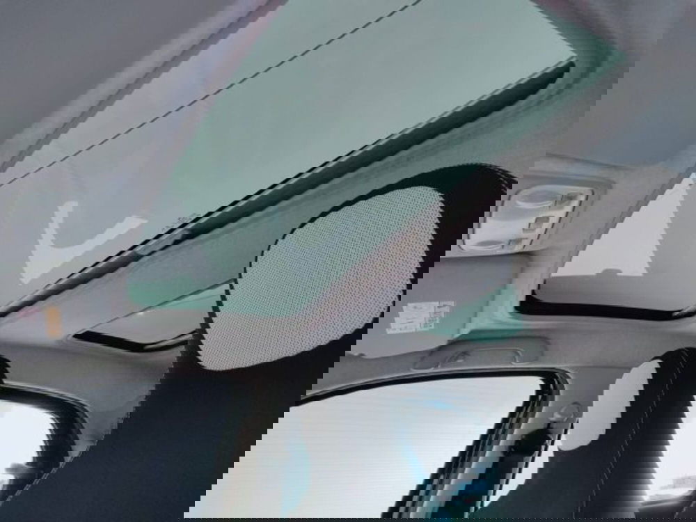 smart forfour usata a Teramo (15)