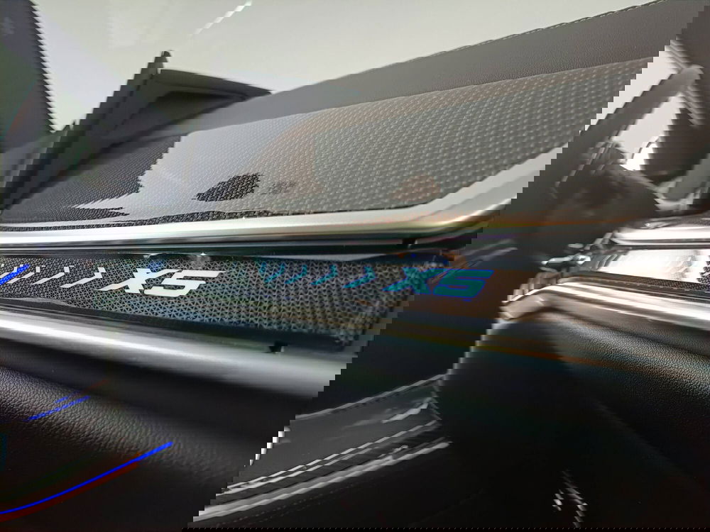 BMW X5 usata a Ascoli Piceno (14)