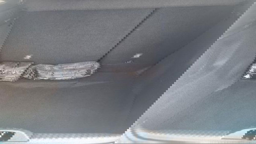 Citroen C3 usata a Savona (18)