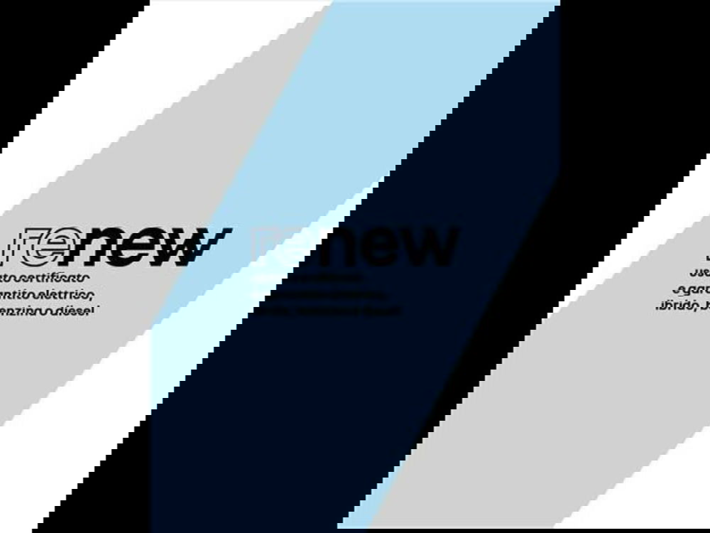 Dacia Spring usata a Modena (20)