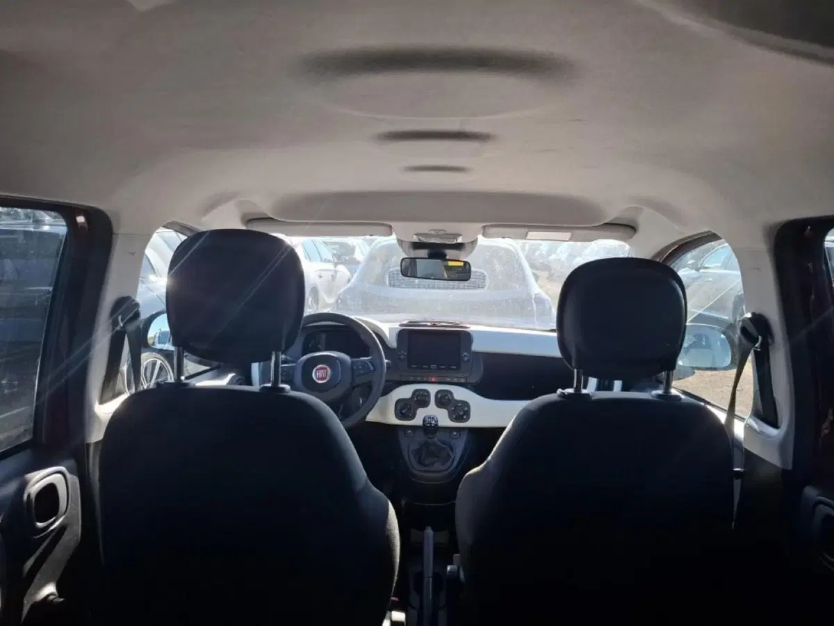 Fiat Panda Cross usata a Perugia (11)