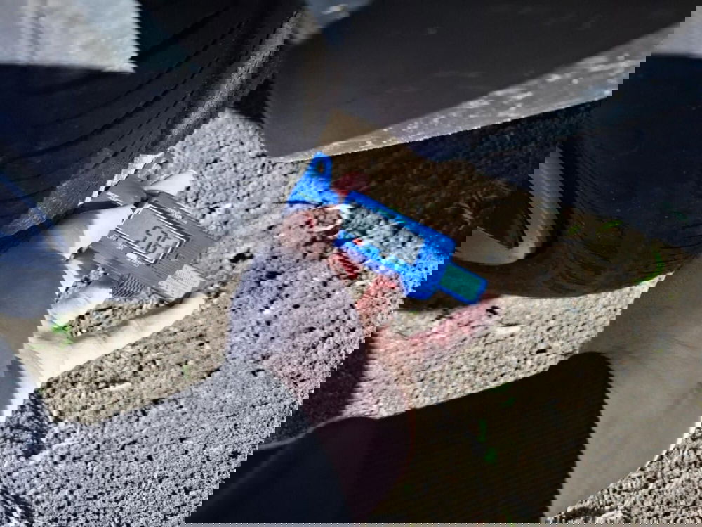 Fiat Panda Cross usata a Perugia (15)