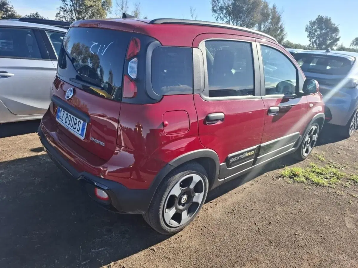 Fiat Panda Cross usata a Perugia (4)
