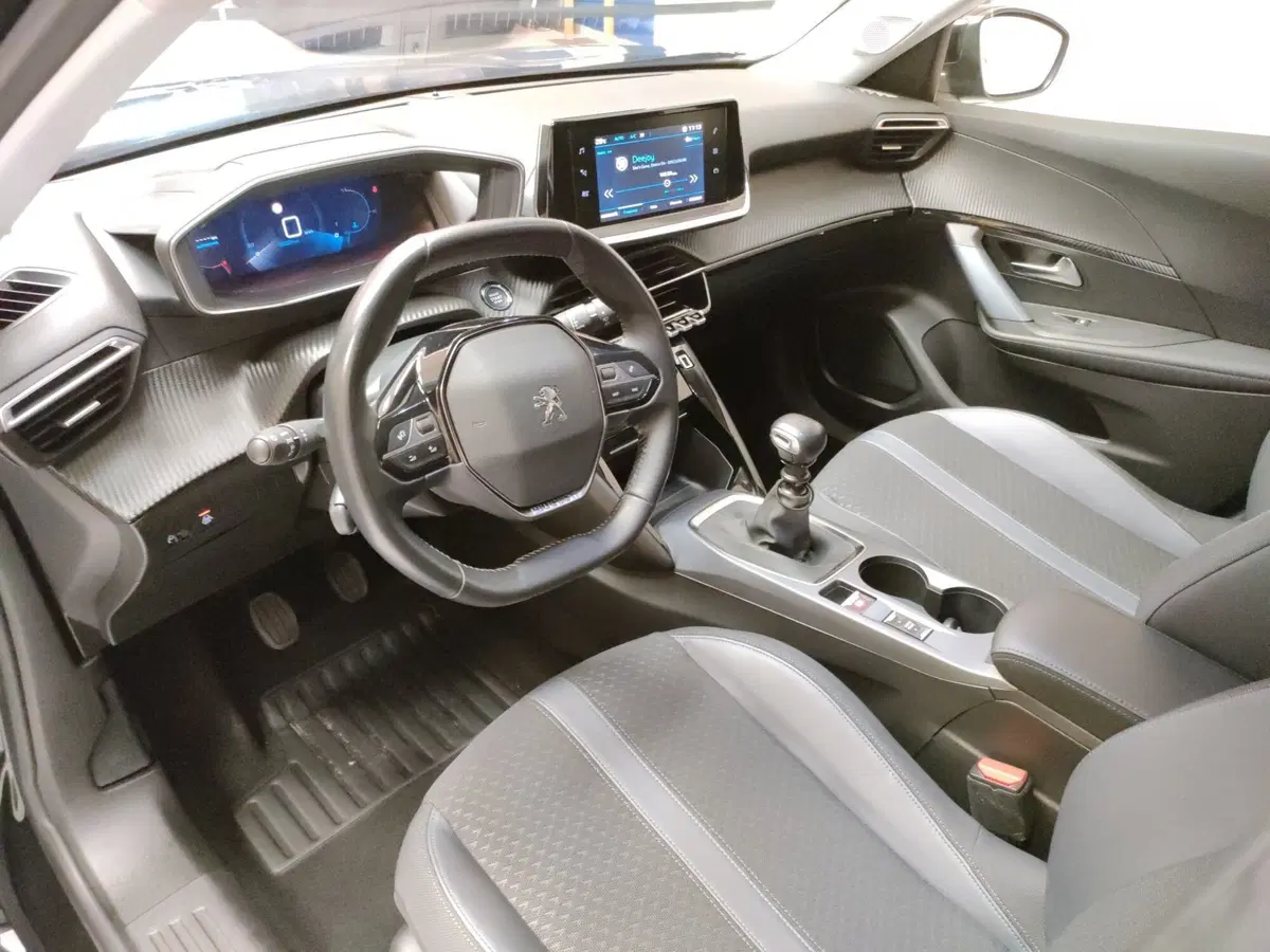 Peugeot 2008 usata a Ascoli Piceno (10)