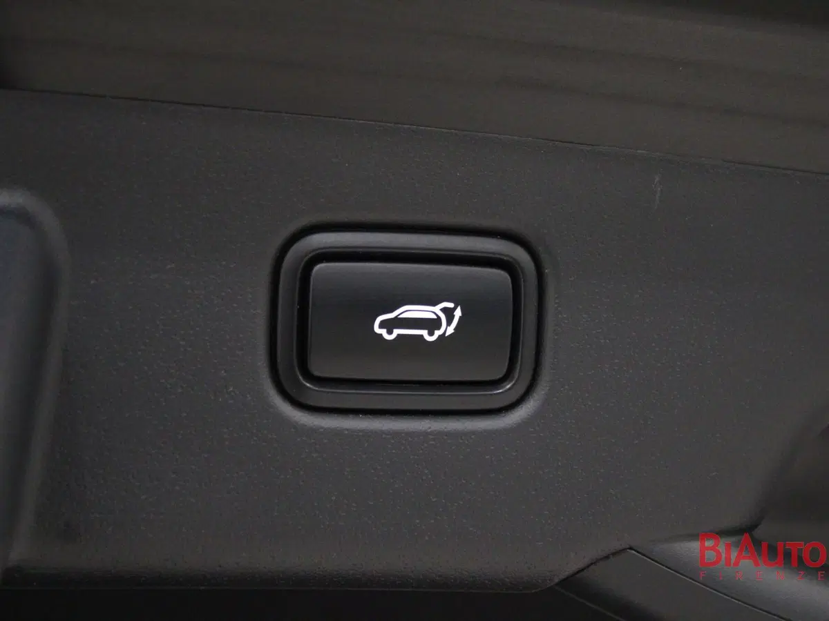 Kia Niro usata a Firenze (17)