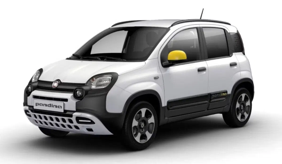 Fiat Panda Cross usata a Bari