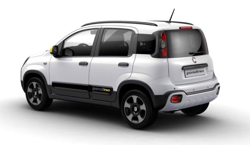 Fiat Panda Cross usata a Bari (2)