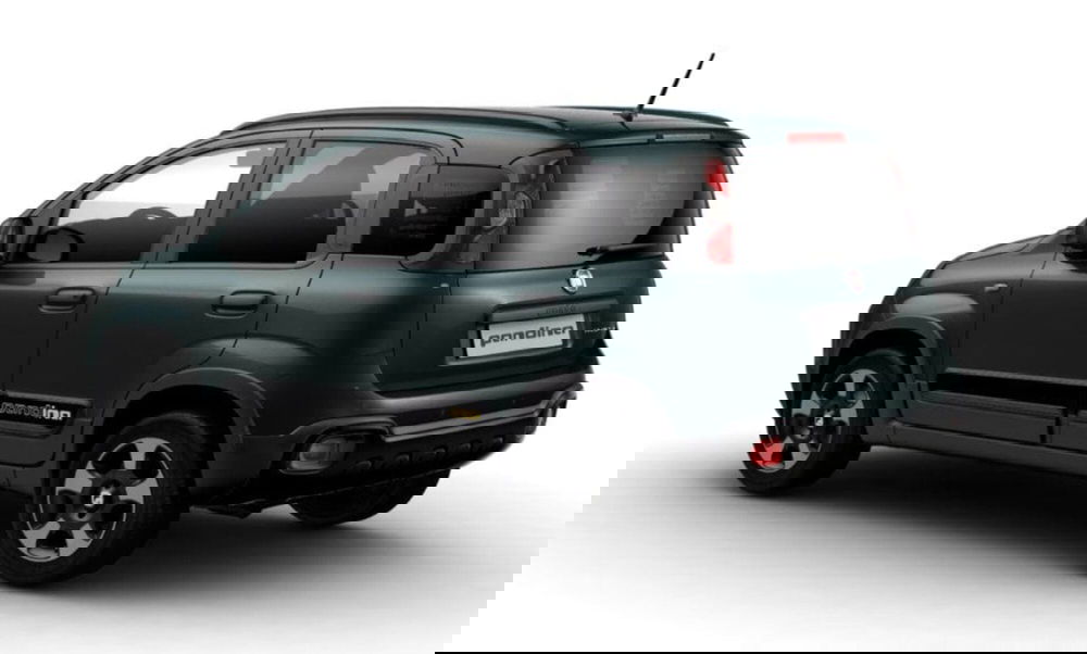 Fiat Panda Cross usata a Bari (2)