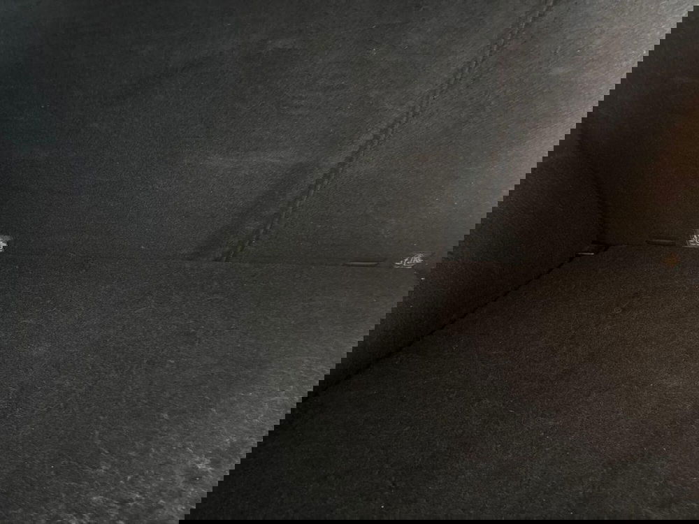 Mg ZS usata a Torino (9)