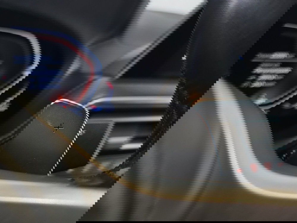 BMW X4 usata a Cuneo (17)