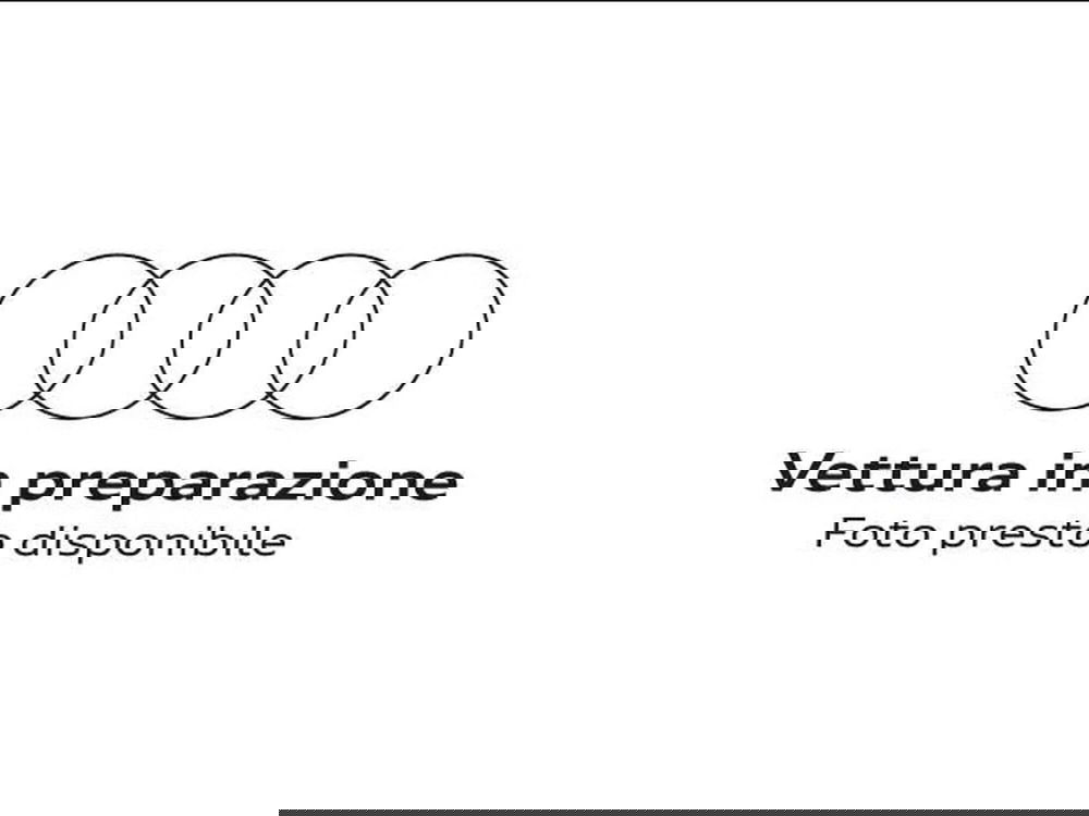 Audi Q2 usata a Alessandria (9)