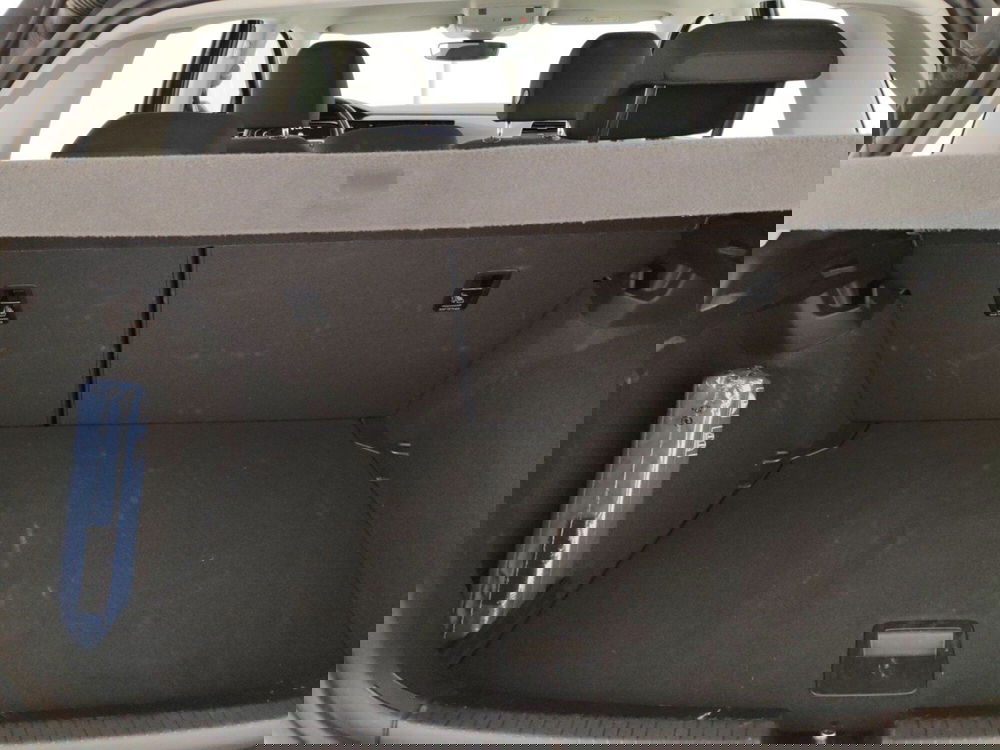 Volkswagen Polo usata a Massa-Carrara (16)