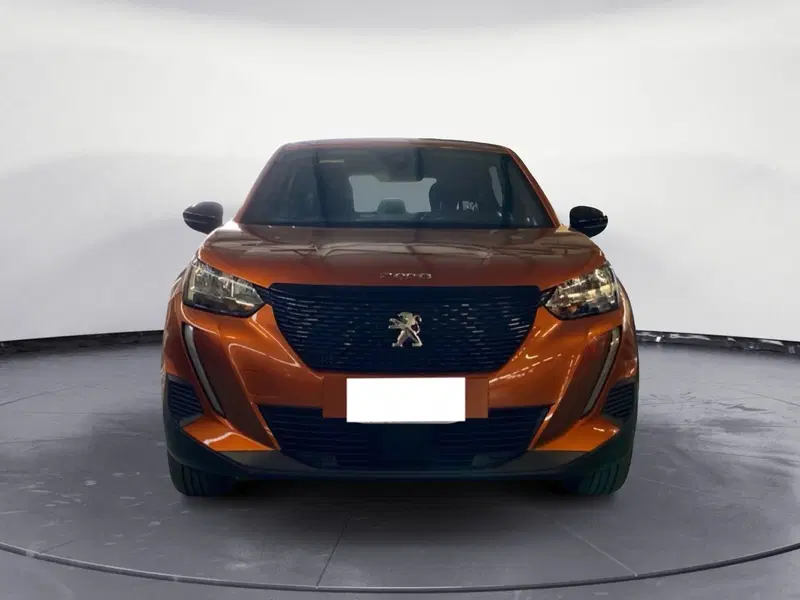 Peugeot 2008 usata a Catanzaro (2)