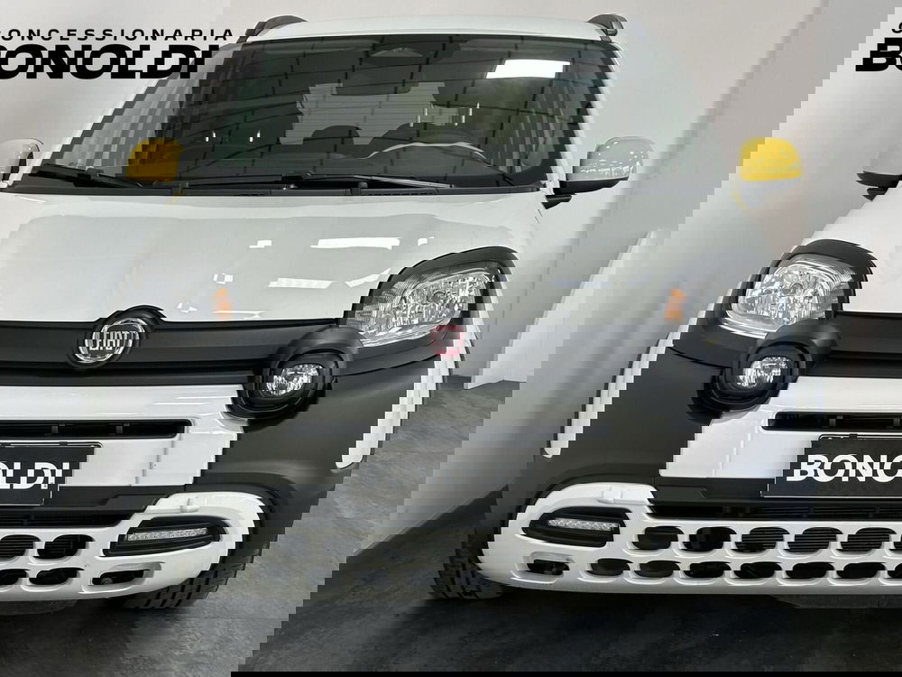 Fiat Pandina usata a Brescia (18)