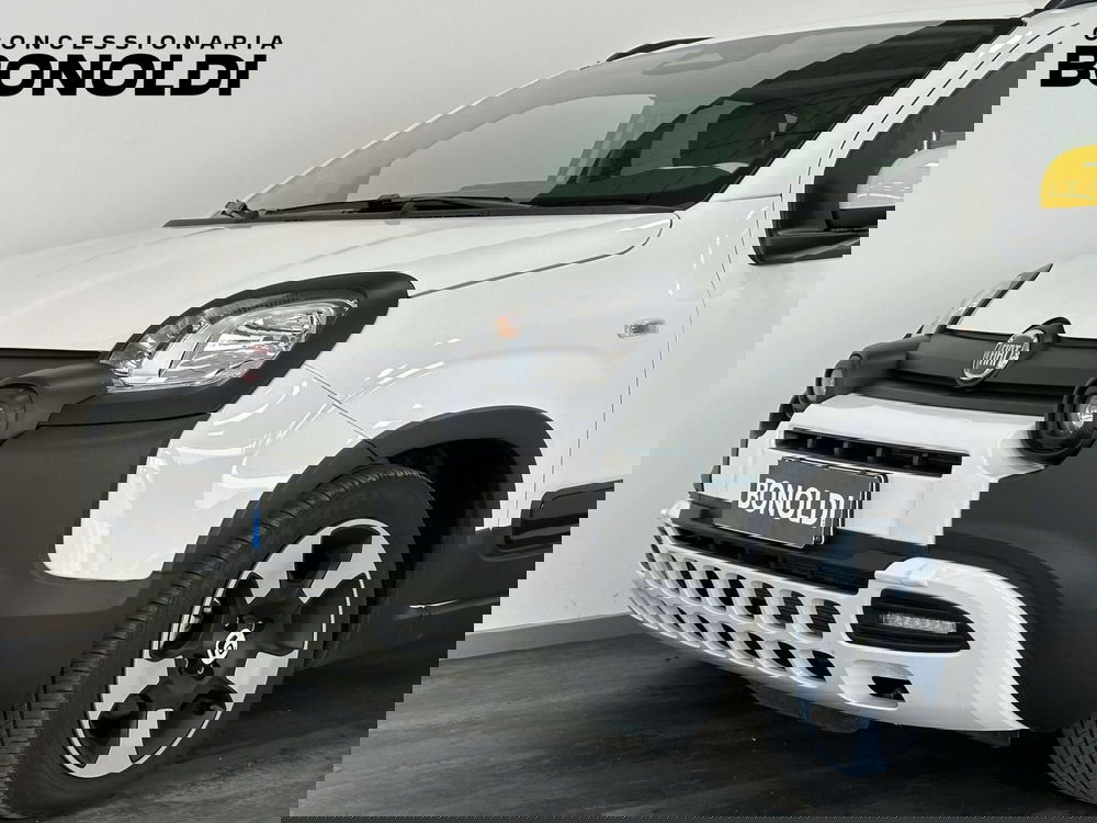 Fiat Pandina usata a Brescia (2)