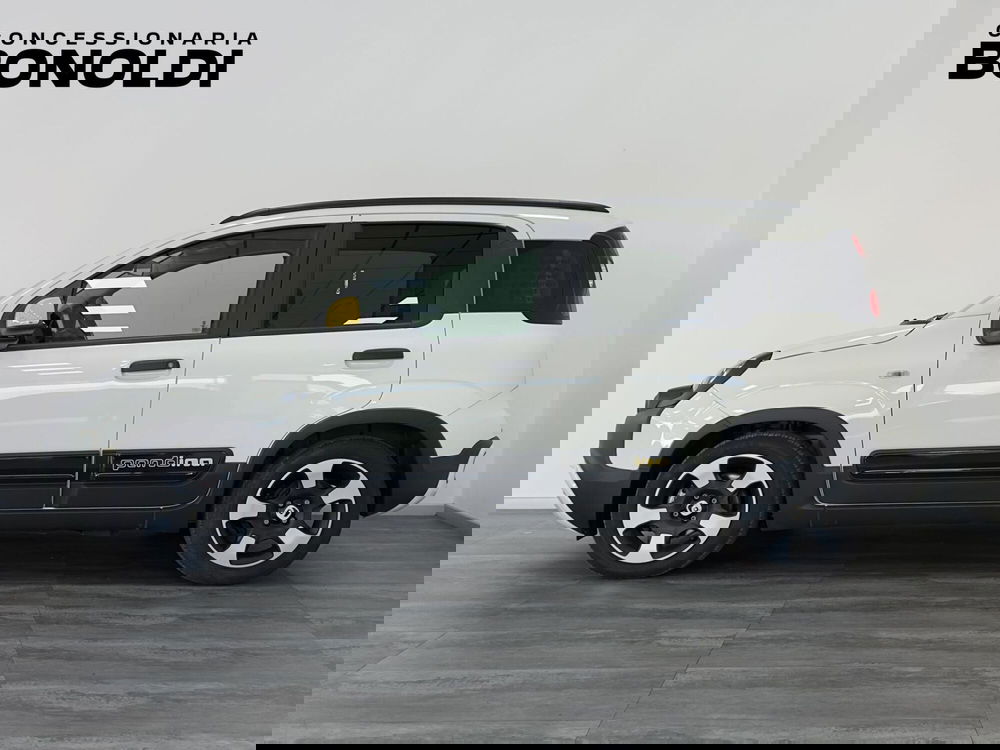 Fiat Pandina usata a Brescia (3)