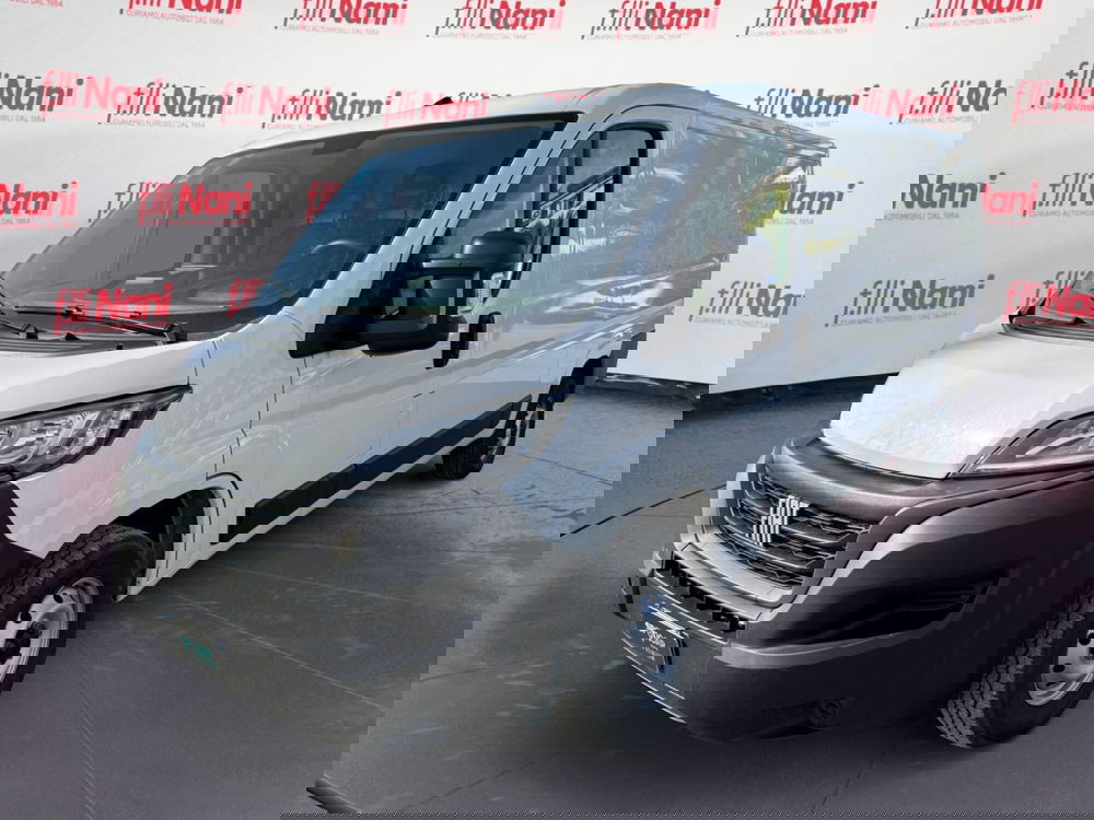 Fiat Ducato Furgone usata a Massa-Carrara