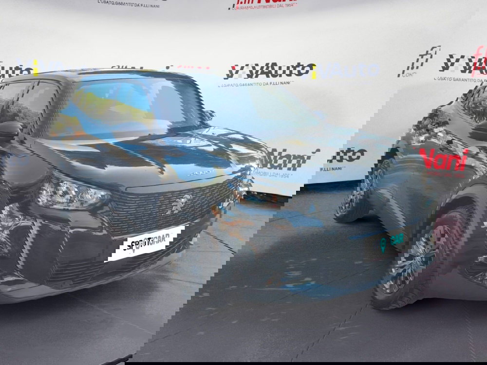 Peugeot 2008 usata a Massa-Carrara (14)