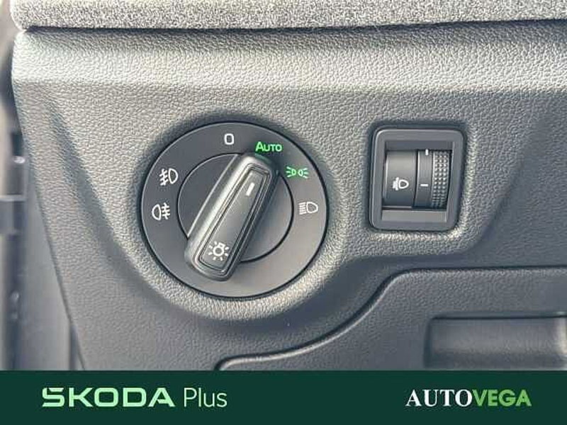 Skoda Kamiq usata a Vicenza (13)