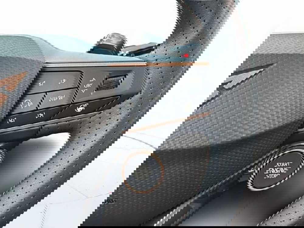 Cupra Terramar usata a Vicenza (18)