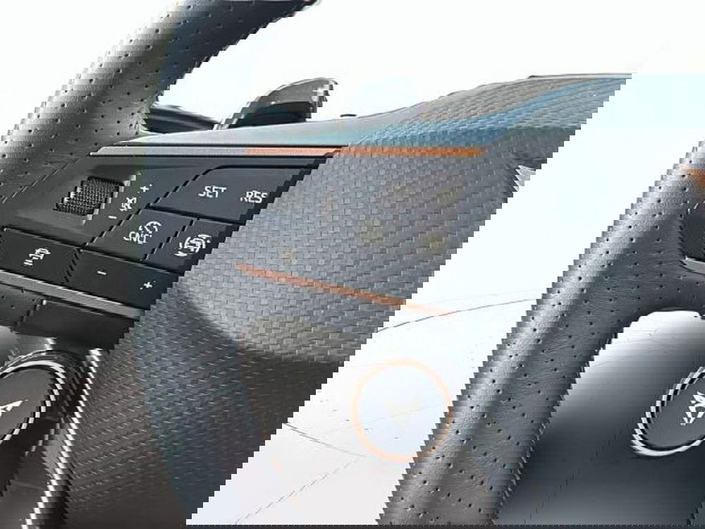 Cupra Terramar usata a Vicenza (19)