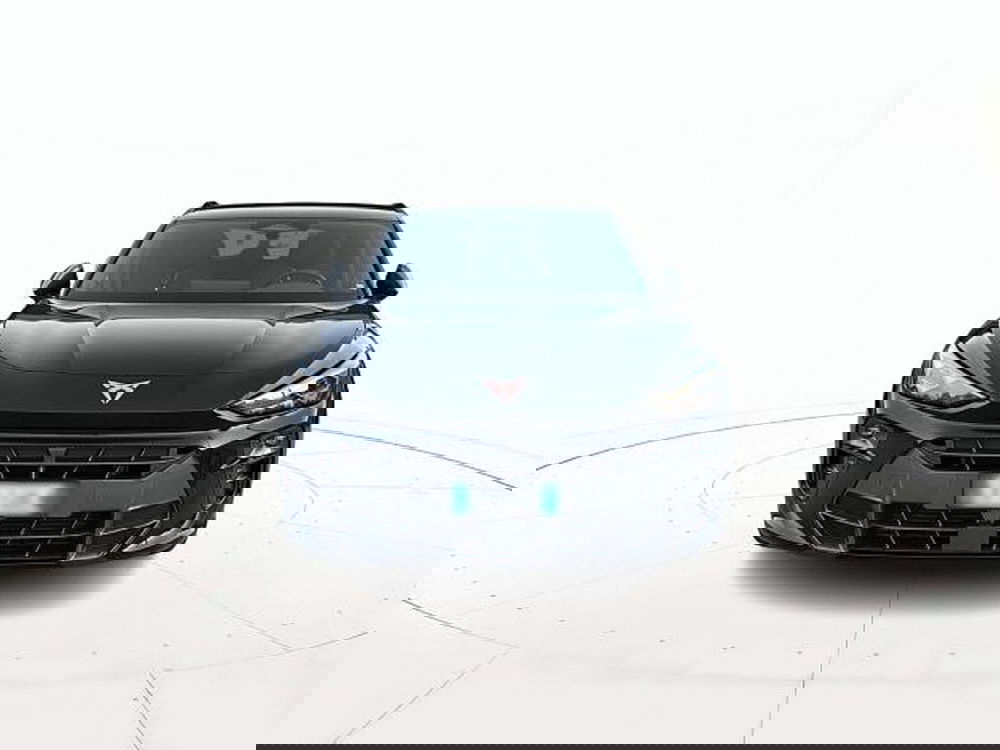 Cupra Terramar usata a Vicenza (2)