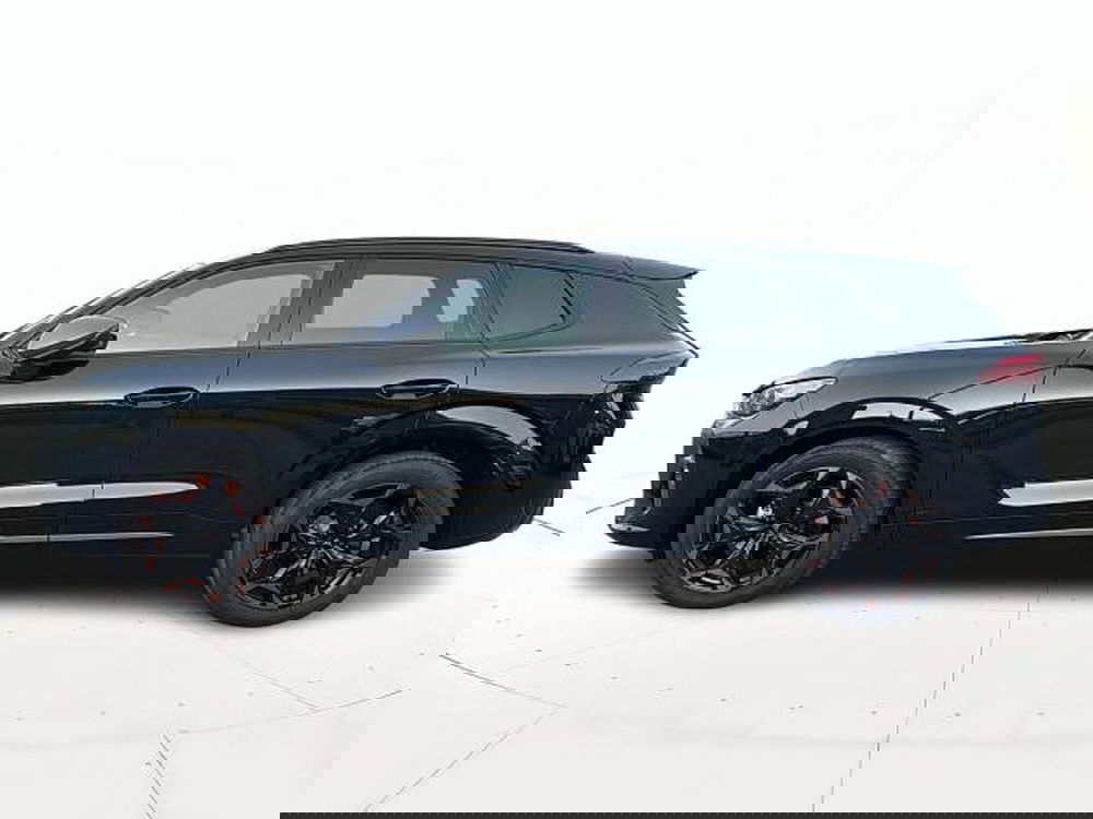 Cupra Terramar usata a Vicenza (6)