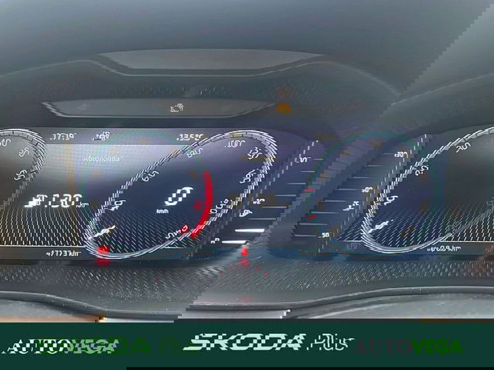 Skoda Kamiq usata a Vicenza (16)