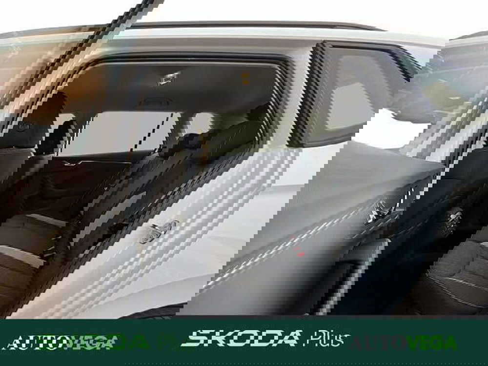 Skoda Kamiq usata a Vicenza (19)