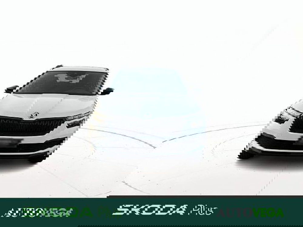 Skoda Kamiq usata a Vicenza (2)