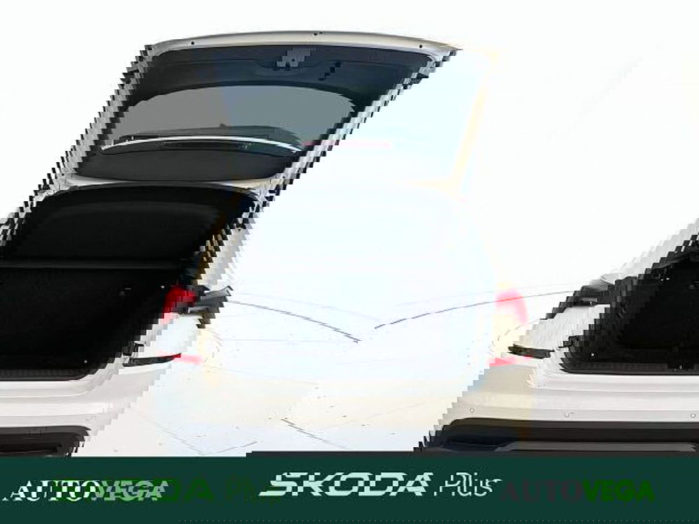 Skoda Kamiq usata a Vicenza (20)