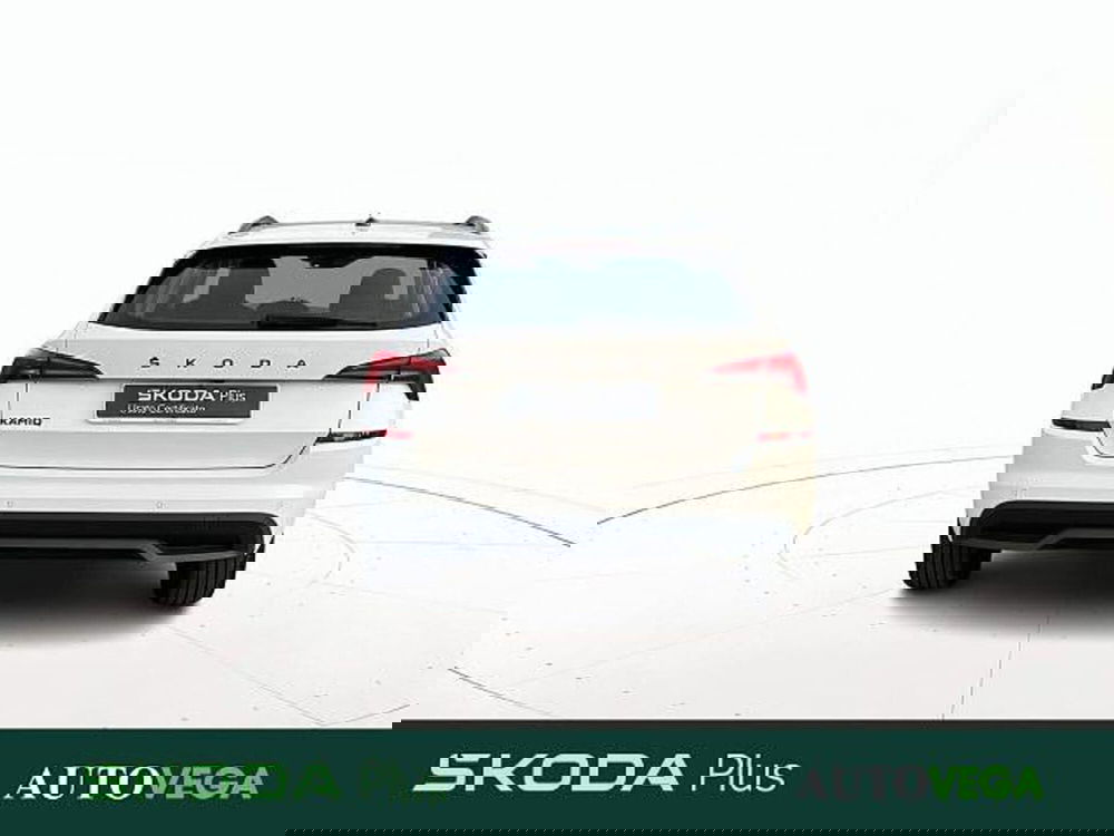 Skoda Kamiq usata a Vicenza (5)